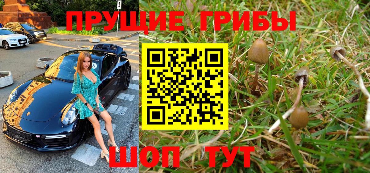 Новокубанск  Псилоцибиновые грибы Cubensis  Вход с VPN  Галлюциногенные грибы прущие грибы 